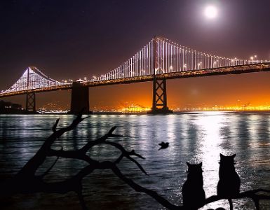 San Francisco