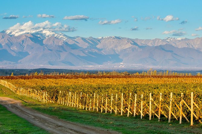 Wine Tour Qabala