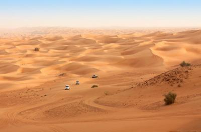 Morning Safari in Abu Dhabi