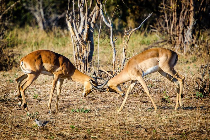 FULL DAY TRIP - TARANGIRE NATIONAL PARK