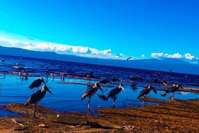MEMORABLE DAY TRIP - LAKE MANYARA NATIONAL PARK