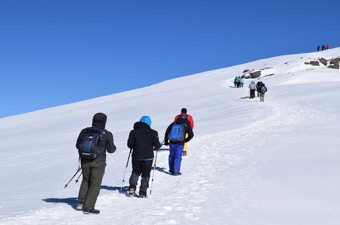 6 Days Kilimanjaro Climbing via Machame Route By Zicasso Expeditions