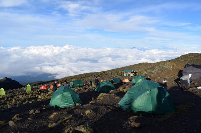7 Days Kilimanjaro Climbing rongai route