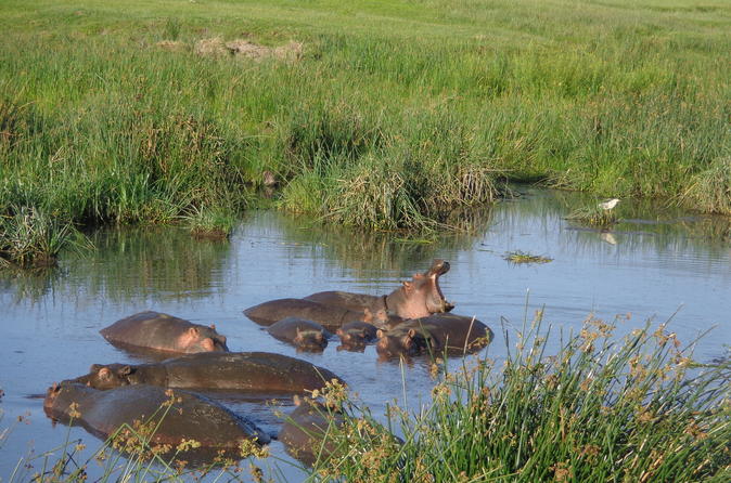 7 DAYS TANZANIA ADVENTURE