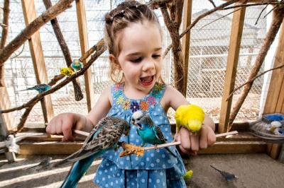 Branson's Promised Land Zoo Admission Ticket