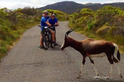 Private Cycling Tour to Cape Point from Cape Town
