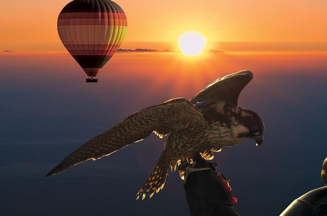 Dubai Hot Air Balloon Flight Including Gourmet Breakfast and Falconry Demonstration