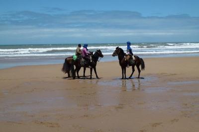 3 hours horse riding at Essaouira