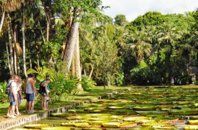 Mauritius In 3 Days: North, South and Southwest Tours with Optional Dolphin Swim