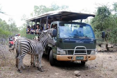 SOUTH TOUR INCLUDING CASELA SAFARI