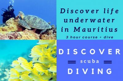 Discover Scuba Diving (beginners and children over 10 welcome)