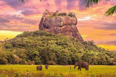 Kandy to Sigiriya Day Tour