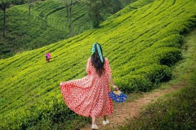 Kandy to Nuwara Eliya Day Tour