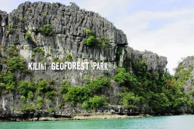 Half Day Mangrove River Cruise on Langkawi