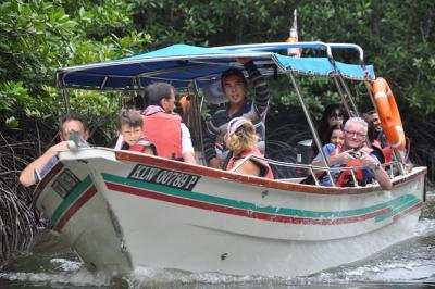 Half-Day Mangrove Safari Boat Tour in Langkawi