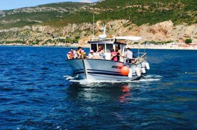 Dolphin Watching Experience and Trawler Full Day Tour with Lunch