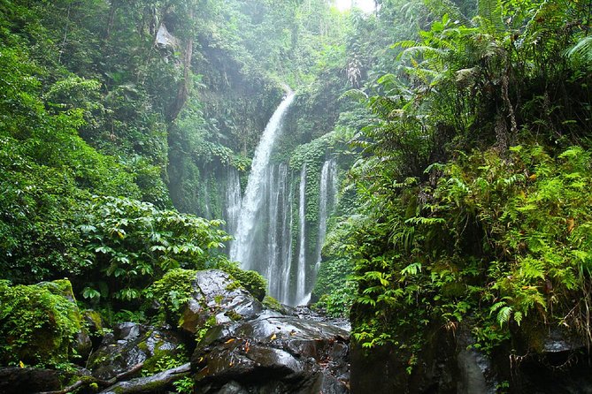 Private Tour: Full-day Majestic Senaru Tour