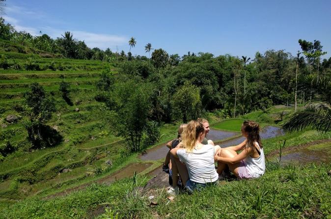 Lombok Tetebatu Rice Terrace Heaven Tour