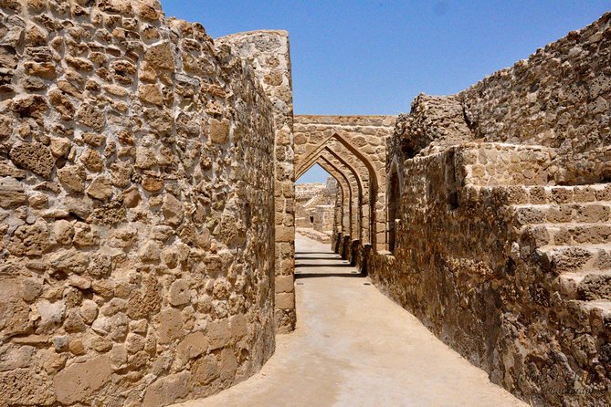 Archaeological Tour Bahrain