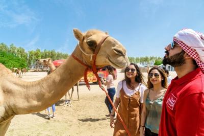 Half-Day Bahrain Desert Tour