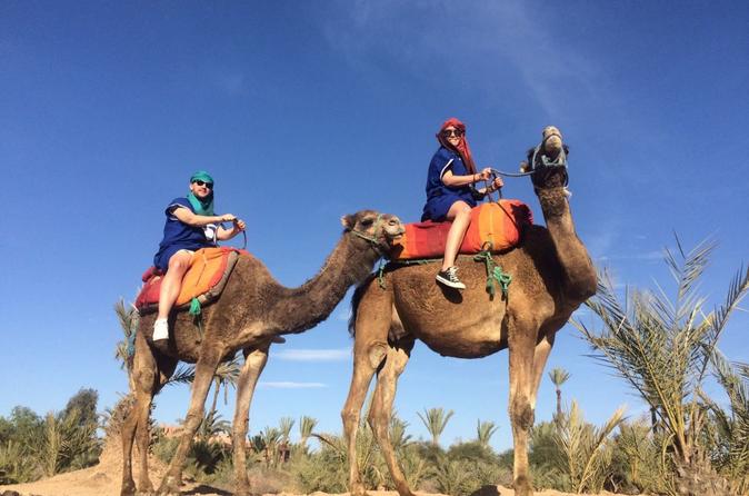 Small-Group Tour: Camel Ride through the Palm Grove of Marrakech