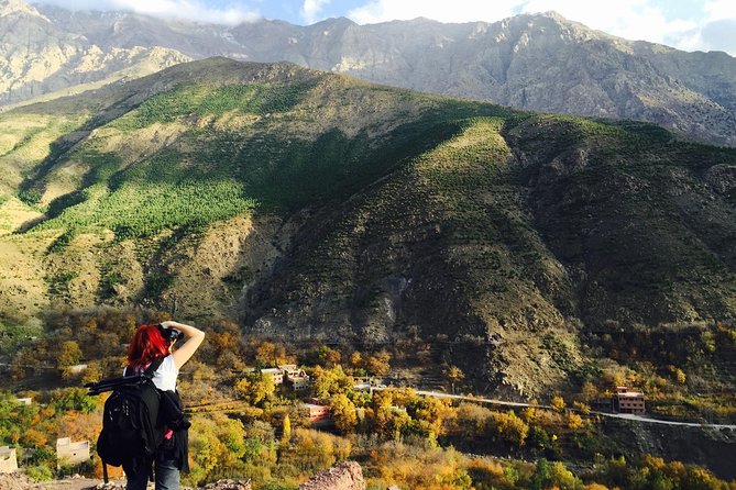 Atlas Mountains Day Trip with Camel Ride from Marrakech: Multi-activity tour