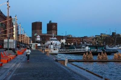 Oslo Shore Excursion: Panorama Tour with Vigeland Sculpture Park & Ski Jump