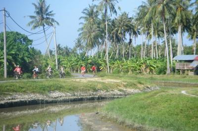 Half-Day Penang Countryside Cycling Tour