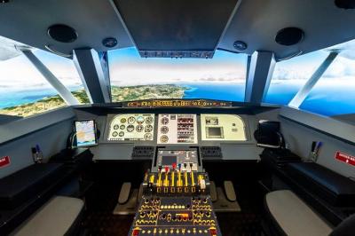 Flight Simulator Experience