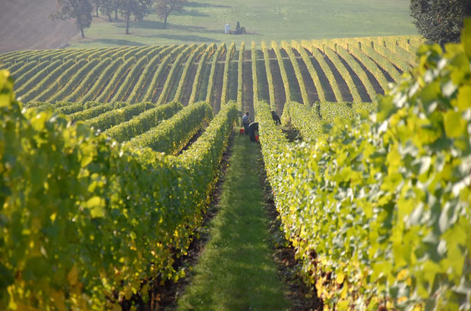 Fredericksburg Hill Country Wine Tour