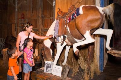 The Buckhorn Saloon & Museum and Texas Ranger Museum
