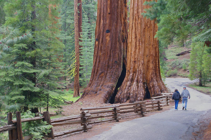 2-Day Yosemite National Park Tour from San Francisco