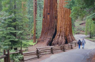 2-Day Yosemite National Park Tour from San Francisco