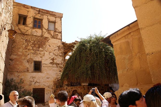 DAY TOUR TO ST CATHERINE MONASTERY FROM SHARM EL SHEIKH
