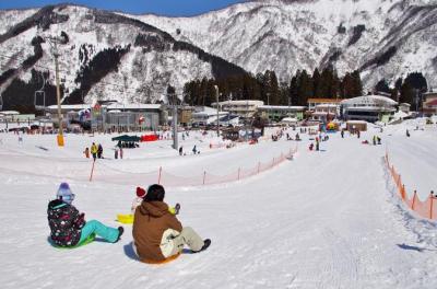 Sledding Experience,Strawberry Picking and Crab Lunch Buffet from Tokyo