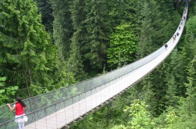 Vancouver North Shore Day Trip with Capilano Suspension Bridge and Grouse Mountain