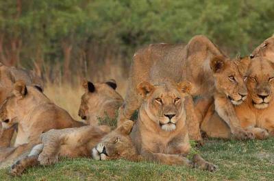 12 Days Victoria Falls & Kruger