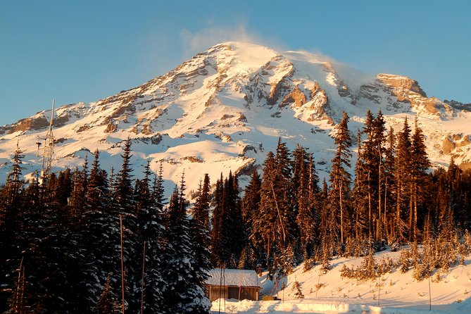 Mt. Rainier Day Trip from Seattle