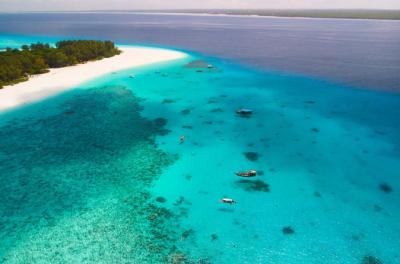 Snorkelling at Mnemba Atoll
